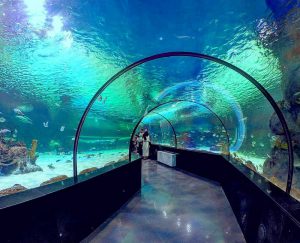 Isfahan Aquarium